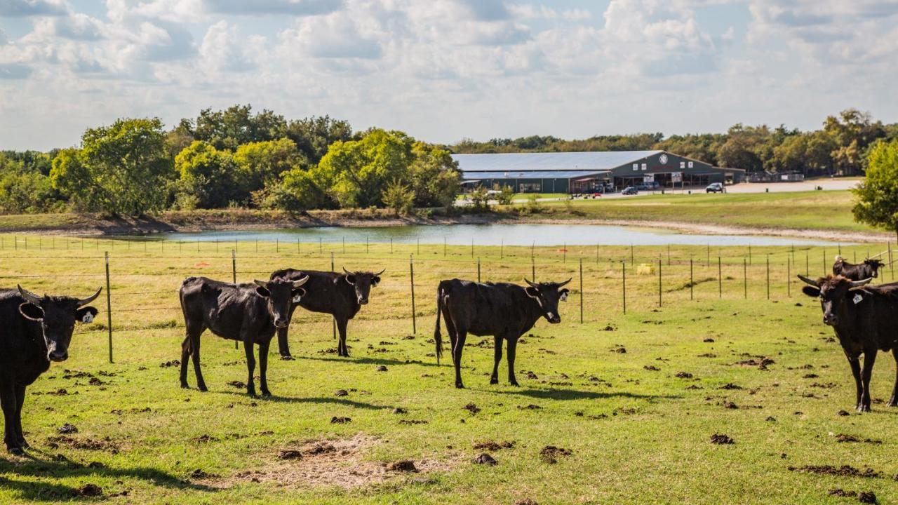 Nrs Event Center & Guest Ranch Hotel Decatur Bagian luar foto